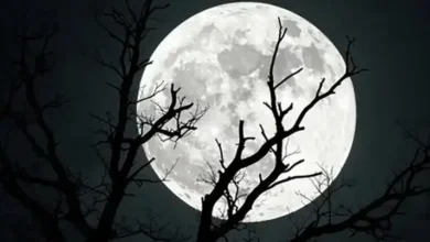 বছরের সবচেয়ে বড় ও শেষ সুপারমুন দেখল বিশ্ব