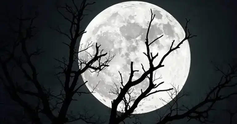 বছরের সবচেয়ে বড় ও শেষ সুপারমুন দেখল বিশ্ব