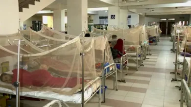 ডেঙ্গুর থাবায় একদিনে আরও ৫ প্রাণহানি, হাসপাতালে ৪৯০