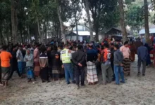 ঝিনাইদহে প্রবাসী আয়ের হিসাব নিয়ে বিরোধ, বড় ভাইকে কুপিয়ে হত্যা করে ছোট ভাই