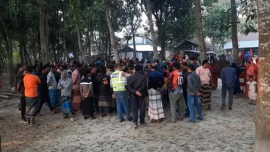 ঝিনাইদহে প্রবাসী আয়ের হিসাব নিয়ে বিরোধ, বড় ভাইকে কুপিয়ে হত্যা করে ছোট ভাই