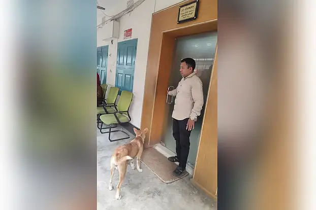 ৮ কুকুরছানাকে হত্যা: অভিযুক্ত কর্মকর্তাকে সরকারি বাসা ছাড়ার নির্দেশ