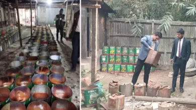 গো-খাদ্য ও জুতার সোল তৈরির কেমিক্যাল মিশ্রণে খেজুর ও আখের গুড়